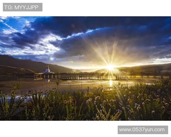 海南球星卡足球：探索海南本土足球文化的崛起与发展之路