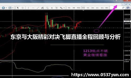 vwin德赢官网